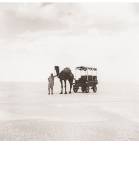 Salt lake, Kutch, Gujarat
